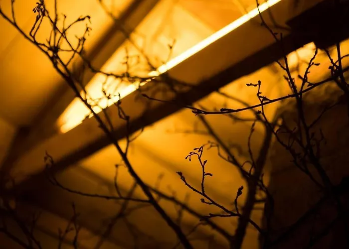 Saunowisko W Kragu - Straszydlo Krąg