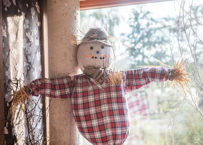 Saunowisko W Kragu - Straszydlo Villa